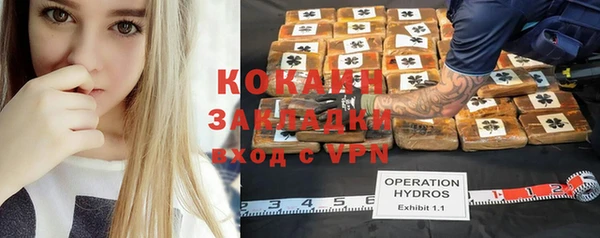 ешки Алзамай