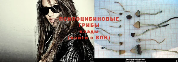 ешки Алзамай