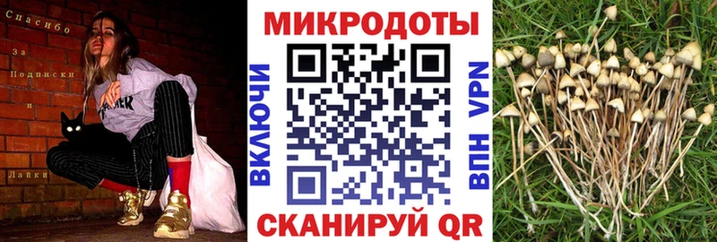Псилоцибиновые грибы мицелий  где купить наркоту  Отрадное 