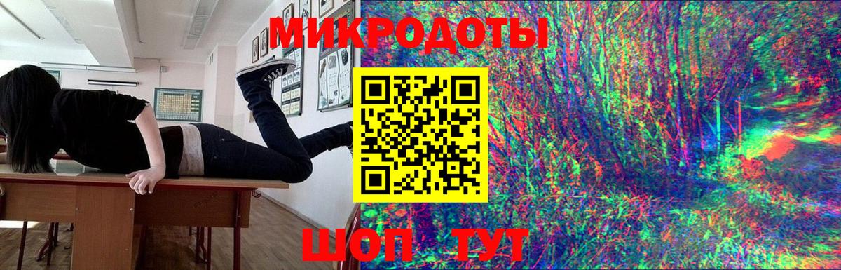 Псилоцибиновые грибы Psilocybe  Вход с VPN  Отрадное 