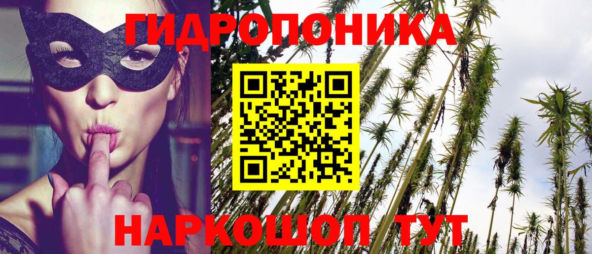 Каннабис SATIVA & INDICA Отрадное